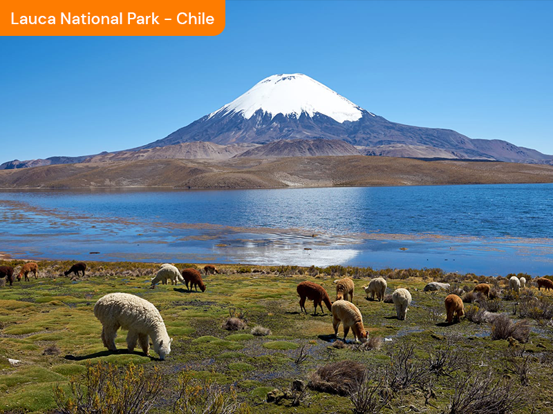 Chile